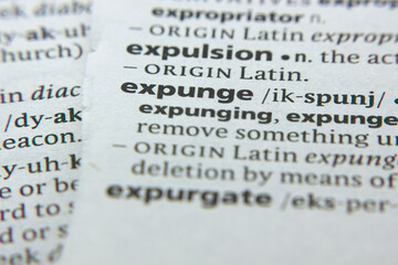 dictionary definition of expunge